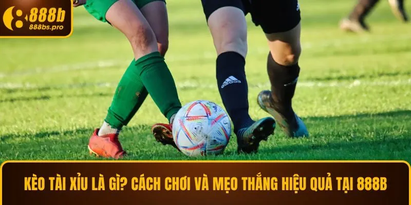 kèo tài xỉu