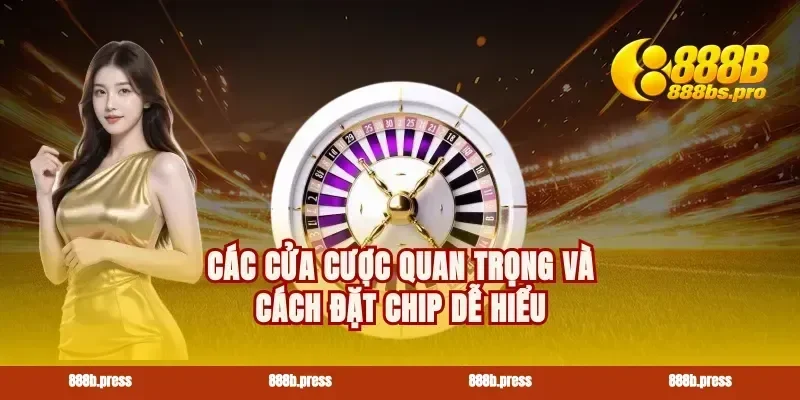 Các cửa cược quan trọng và cách đặt chip dễ hiểu