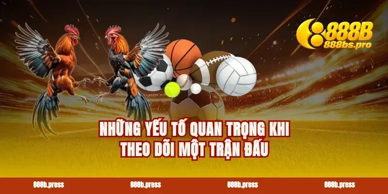 Những yếu tố quan trọng khi theo dõi một trận đấu