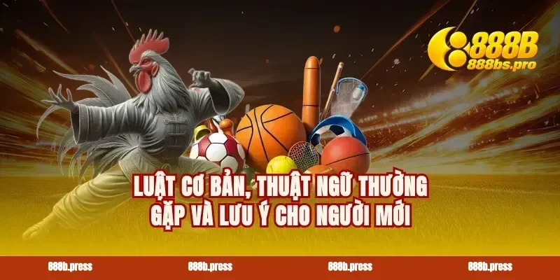 Luật cơ bản, thuật ngữ thường gặp và lưu ý cho người mới