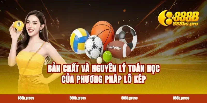 Bản chất và nguyên lý toán học của phương pháp lô kép