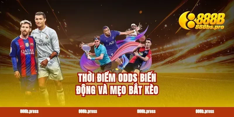 Thời điểm odds biến động và mẹo bắt kèo